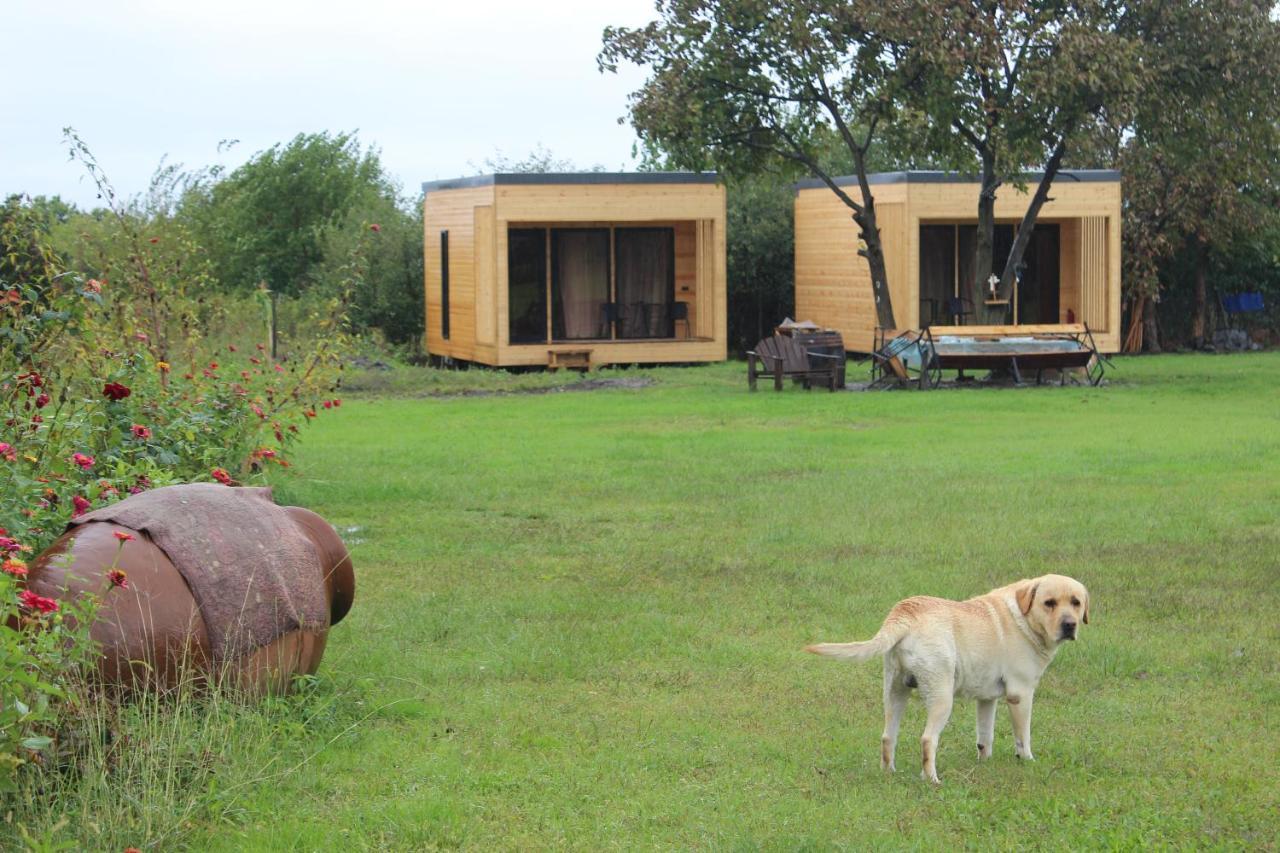 Chubini Winery&Pine Cottage Kvareli Esterno foto