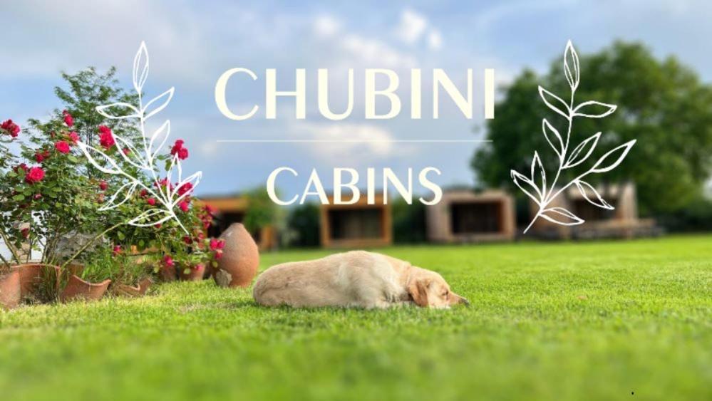 Chubini Winery&Pine Cottage Kvareli Esterno foto