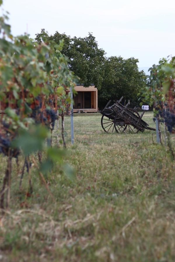 Chubini Winery&Pine Cottage Kvareli Esterno foto