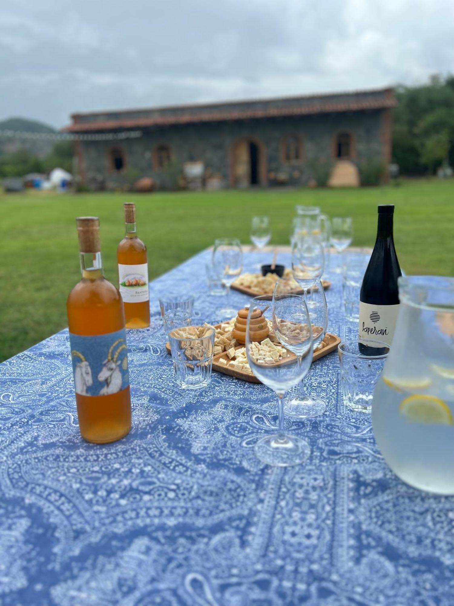 Chubini Winery&Pine Cottage Kvareli Esterno foto