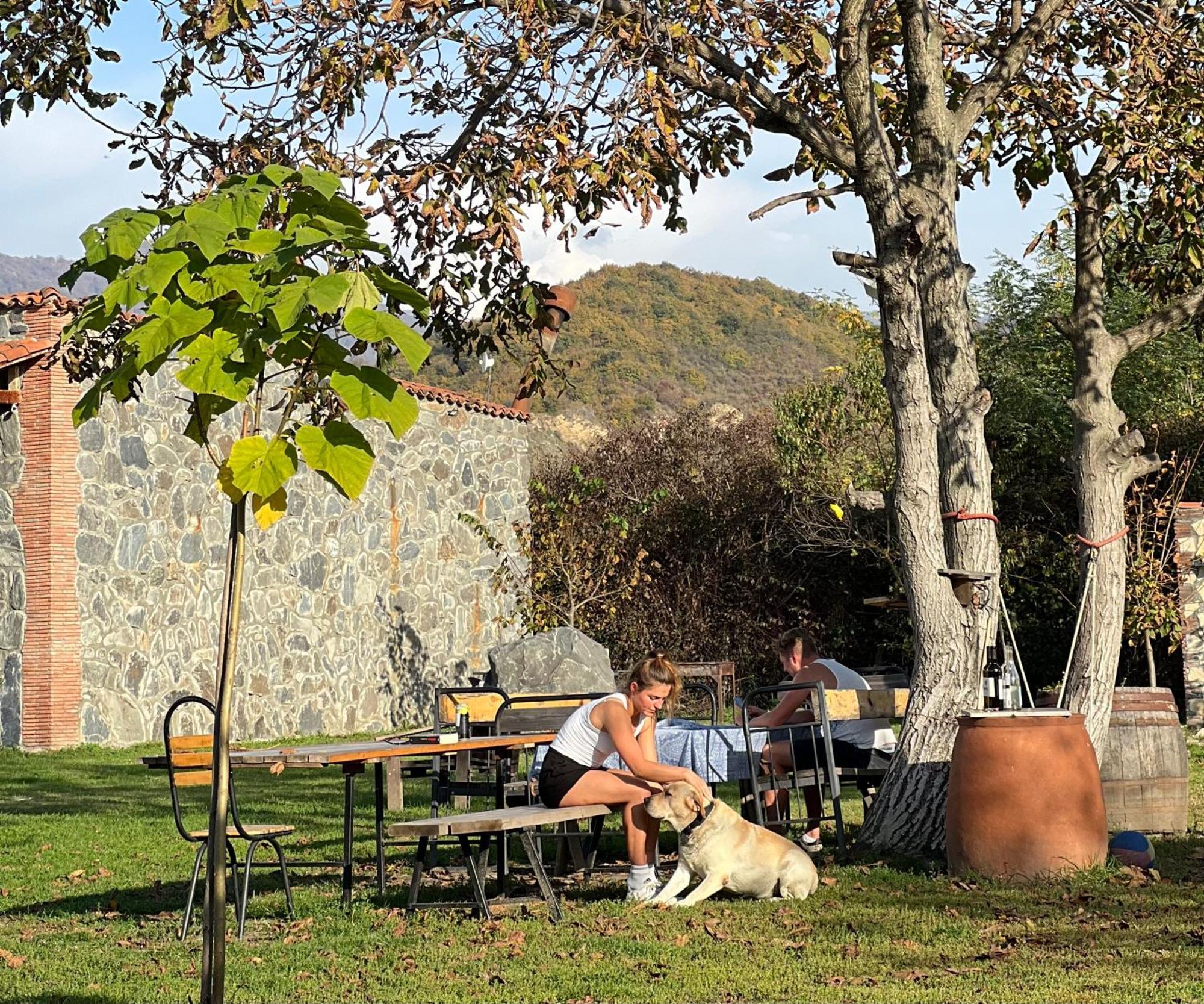 Chubini Winery&Pine Cottage Kvareli Esterno foto