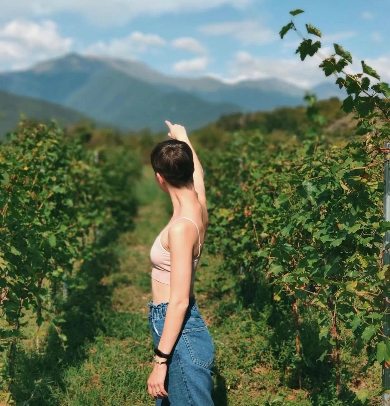 Chubini Winery&Pine Cottage Kvareli Esterno foto