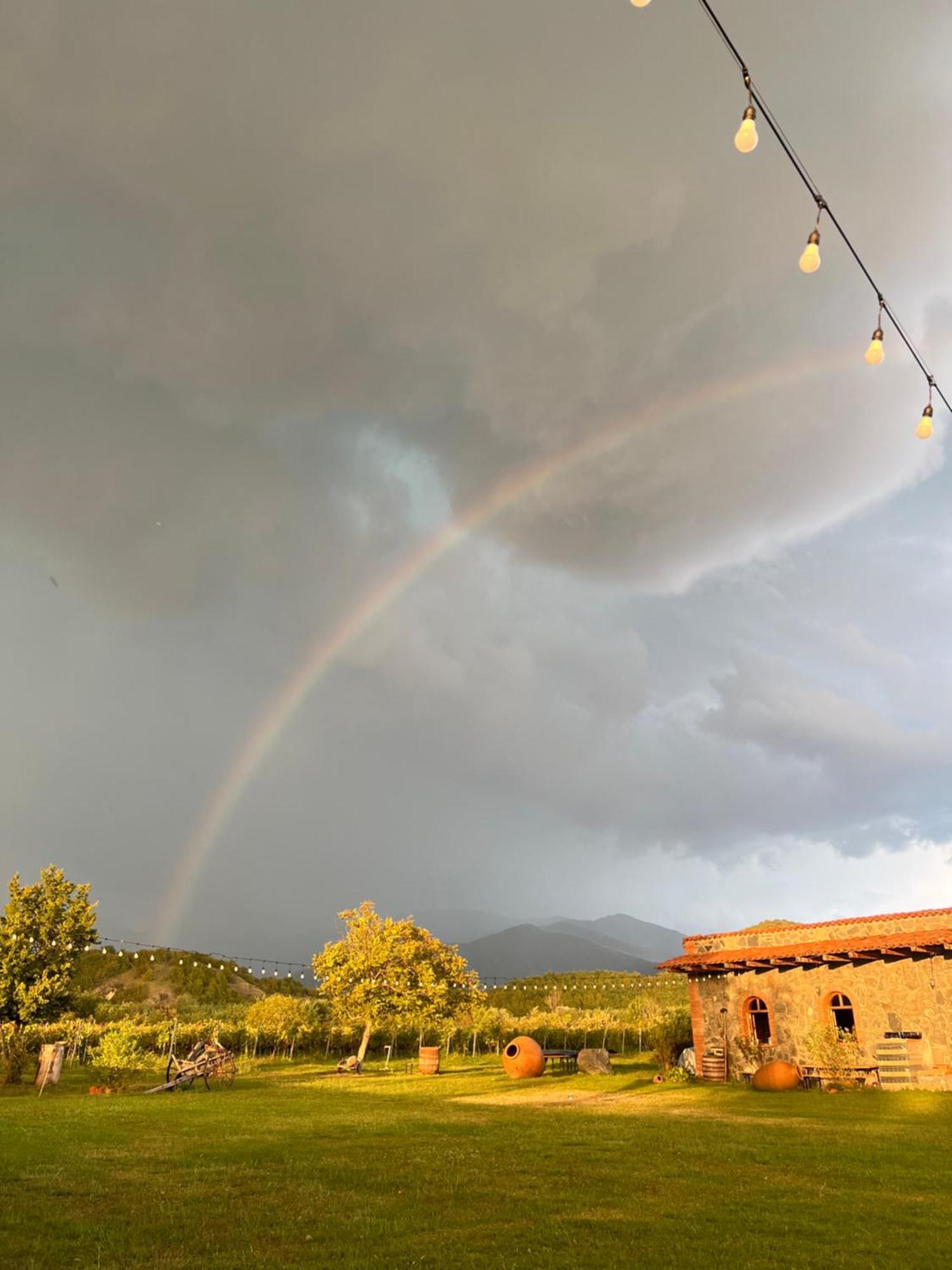 Chubini Winery&Pine Cottage Kvareli Esterno foto