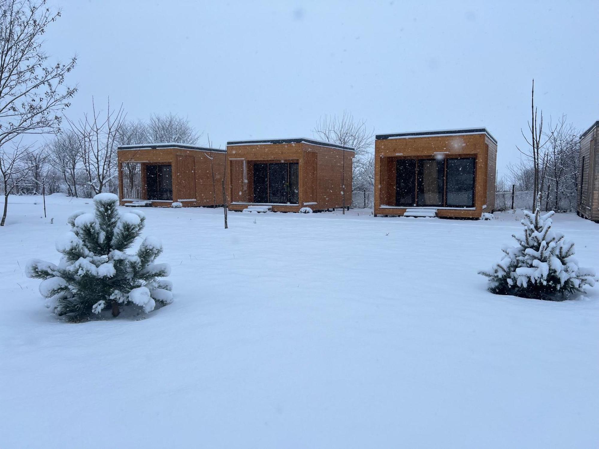 Chubini Winery&Pine Cottage Kvareli Esterno foto