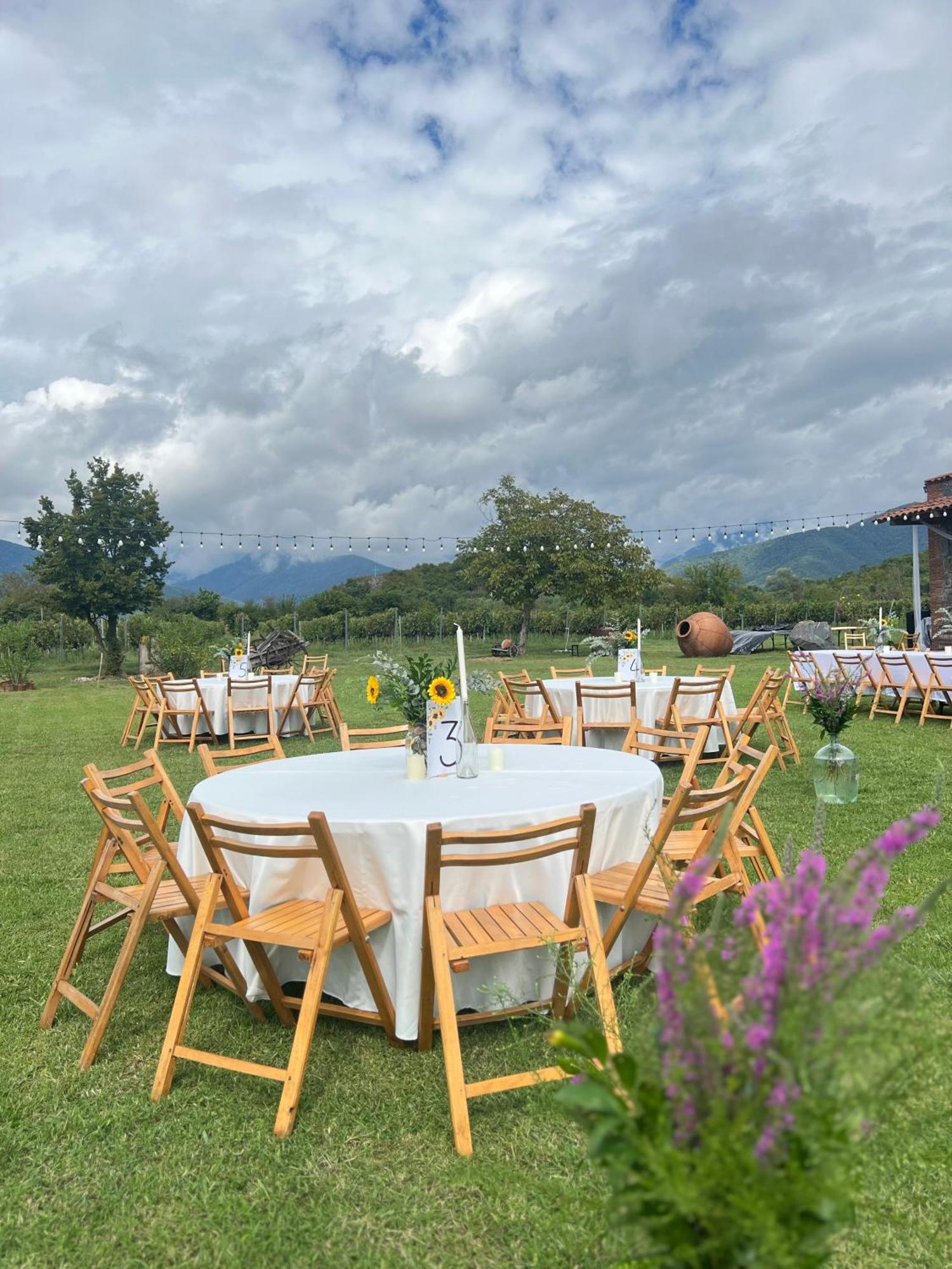 Chubini Winery&Pine Cottage Kvareli Esterno foto