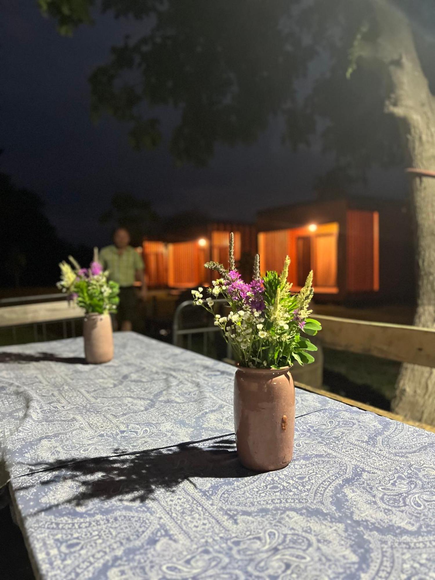 Chubini Winery&Pine Cottage Kvareli Esterno foto